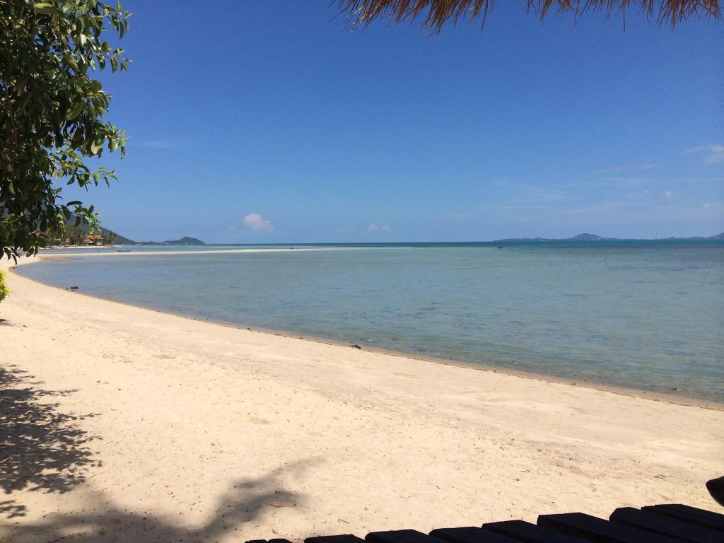 The Blue Parrot Hotel Ko Pha Ngan Exterior photo